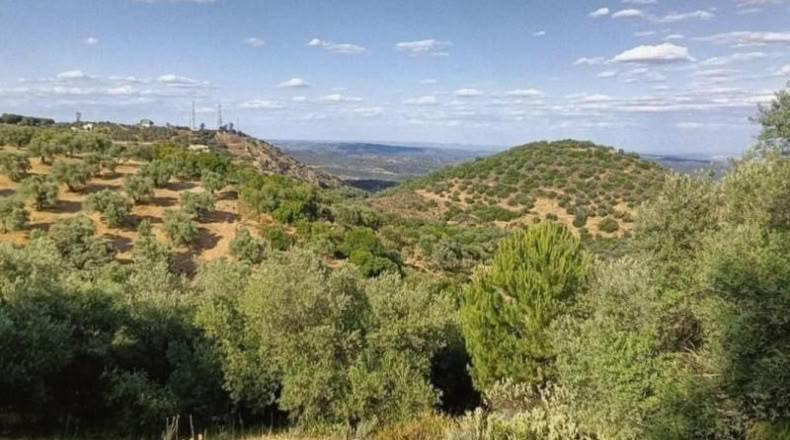 Córdoba - Córdoba - 2710m2