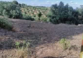 Terreny no urbanitzable en venda a la España, Còrdova, ref.: TR292397 foto