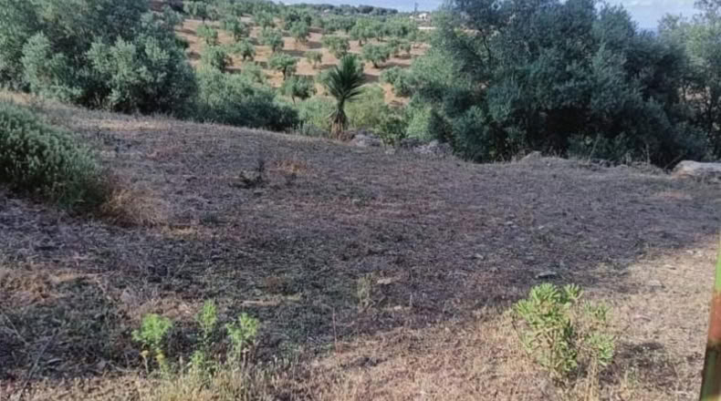 Córdoba - Córdoba - 2710m2