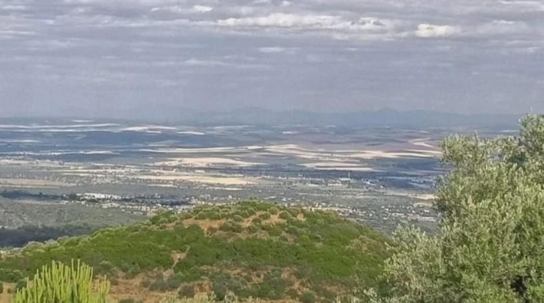 Córdoba - Córdoba - 2710m2