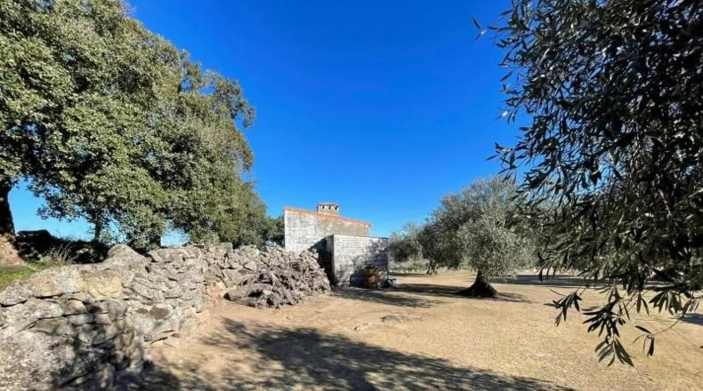 Cáceres - Montánchez - 2800m2