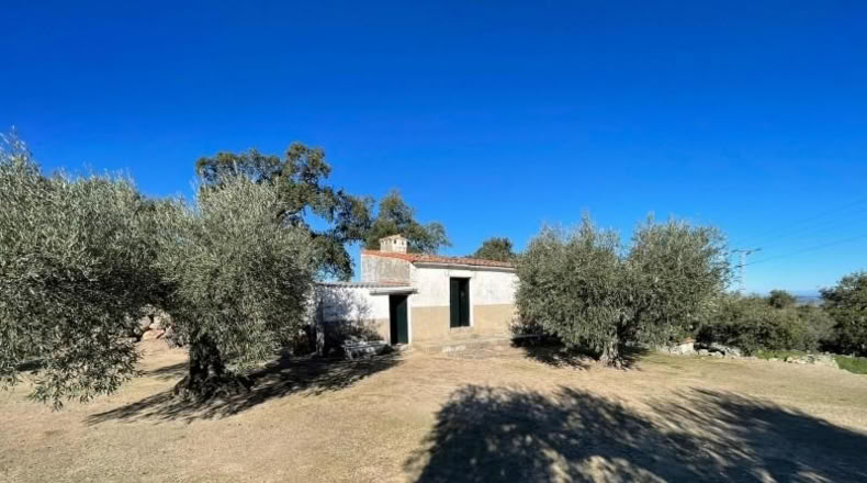 Cáceres - Montánchez - 2800m2