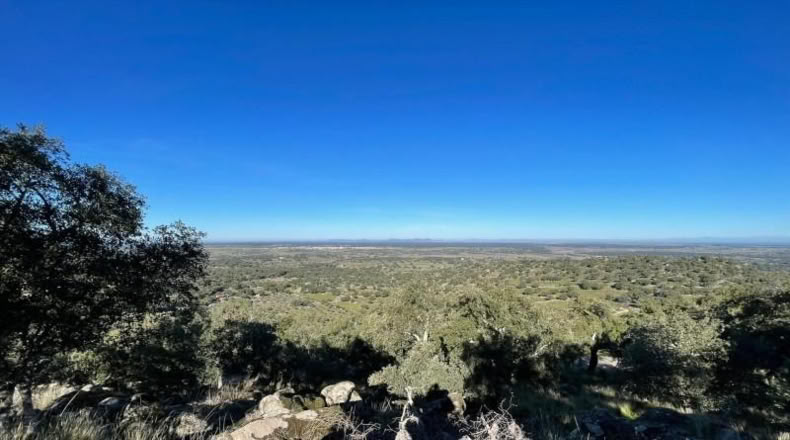Cáceres - Montánchez - 2800m2