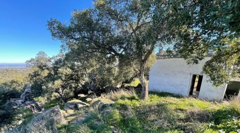 Cáceres - Montánchez - 2800m2
