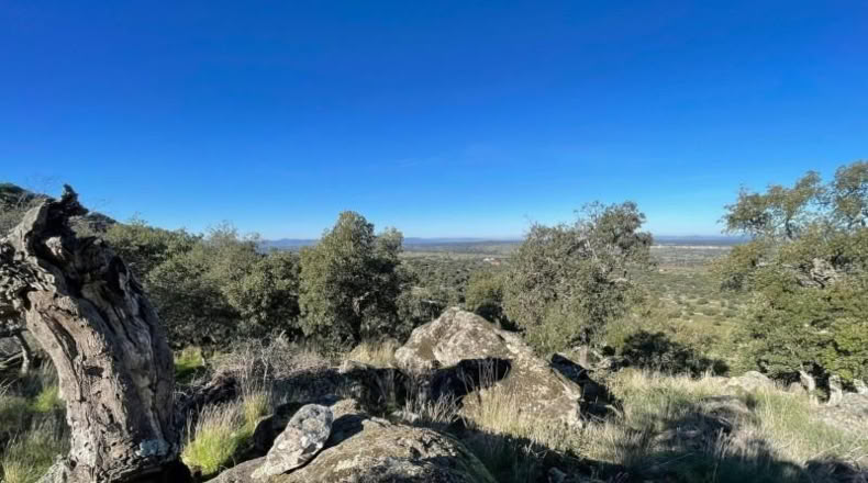 Cáceres - Montánchez - 2800m2