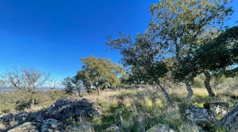 Cáceres - Montánchez - 2800m2
