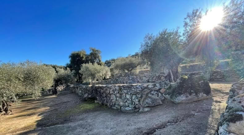 Cáceres - Montánchez - 2800m2