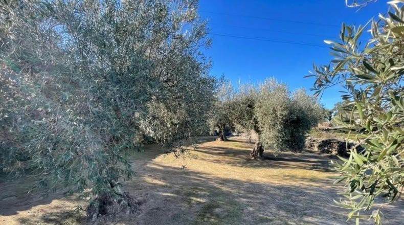 Cáceres - Montánchez - 2800m2