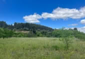 Xalet independent amb terreny en venda a la España, Alcanyís, ref.: TR318417 foto