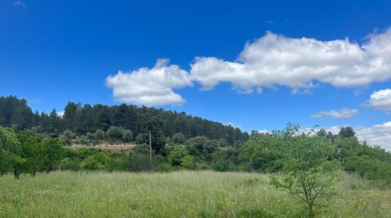 Teruel - Ла-Портельяда - 5078m2