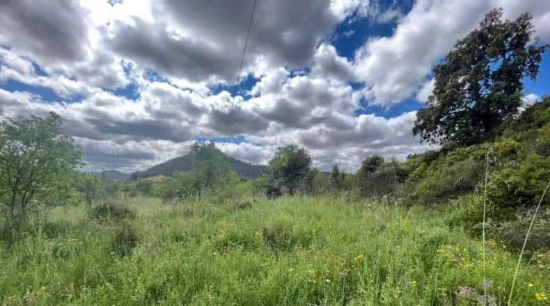 Teruel - Ла-Портельяда - 5078m2