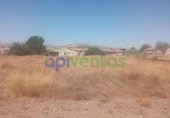 Terreny no urbanitzable en venda a la España, Lorca, ref.: TR308912 foto