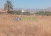 Terreny no urbanitzable en venda a la España, Lorca, ref.: TR308912 foto