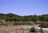 Terreny no urbanitzable en venda a la España, Cehegín, ref.: TR119422 foto