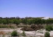 Terreny no urbanitzable en venda a la España, Cehegín, ref.: TR119422 foto