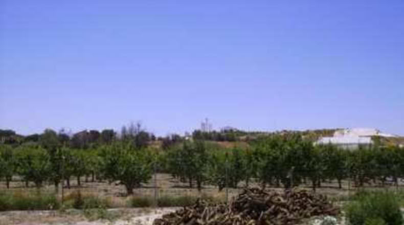 Múrcia - Cehegín - 2600m2