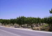 Terreny no urbanitzable en venda a la España, Cehegín, ref.: TR119422 foto