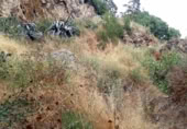 Non-developable land for sale on España, Vega de San Mateo, ref: TR114004 photo