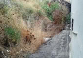 Non-developable land for sale on España, Vega de San Mateo, ref: TR114004 photo
