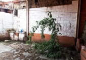 Casa de poble en venda a la España, Casafranca, ref.: TR296391 foto