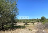 Terreny no urbanitzable en venda a la España, el Perelló, ref.: TR248171 foto