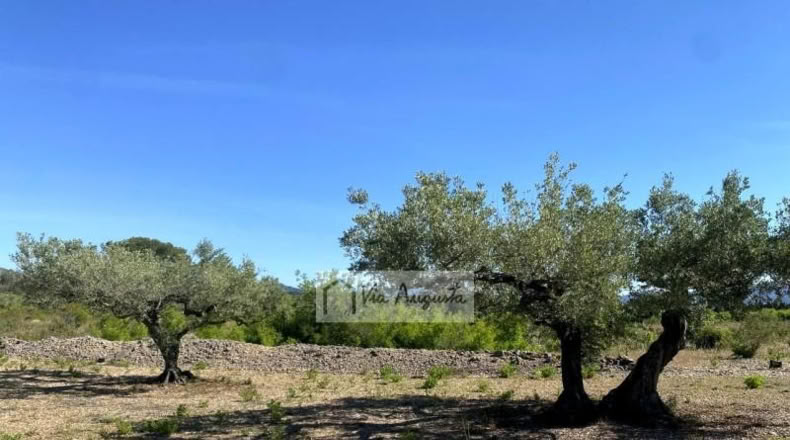 Tarragona - el Perelló - 18167m2