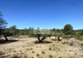 Terreny no urbanitzable en venda a la España, el Perelló, ref.: TR248171 foto
