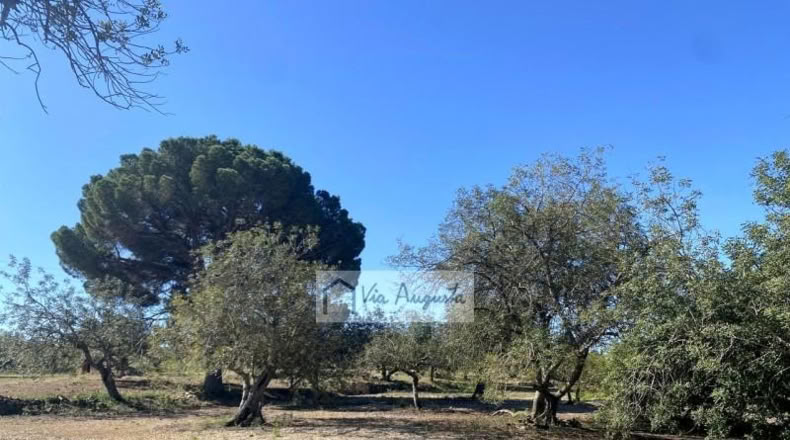 Tarragona - el Perelló - 18167m2
