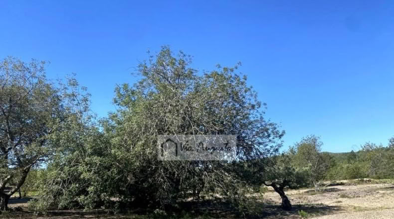Tarragona - el Perelló - 18167m2