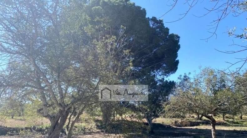 Tarragona - el Perelló - 18167m2