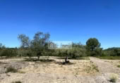 Terreny no urbanitzable en venda a la España, el Perelló, ref.: TR248171 foto