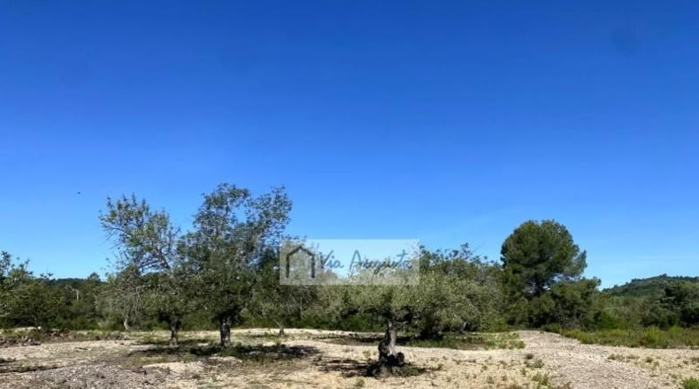 Tarragona - el Perelló - 18167m2