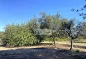 Terreny no urbanitzable en venda a la España, el Perelló, ref.: TR248171 foto