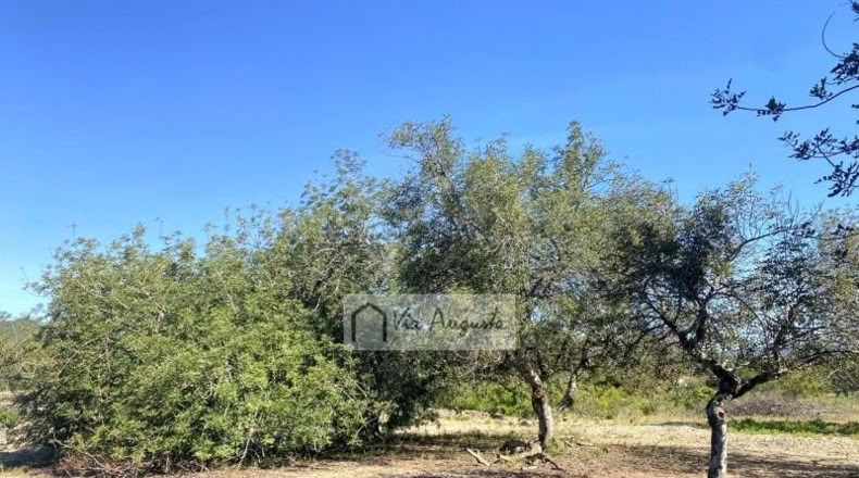 Tarragona - el Perelló - 18167m2