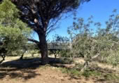Terreny no urbanitzable en venda a la España, el Perelló, ref.: TR248171 foto
