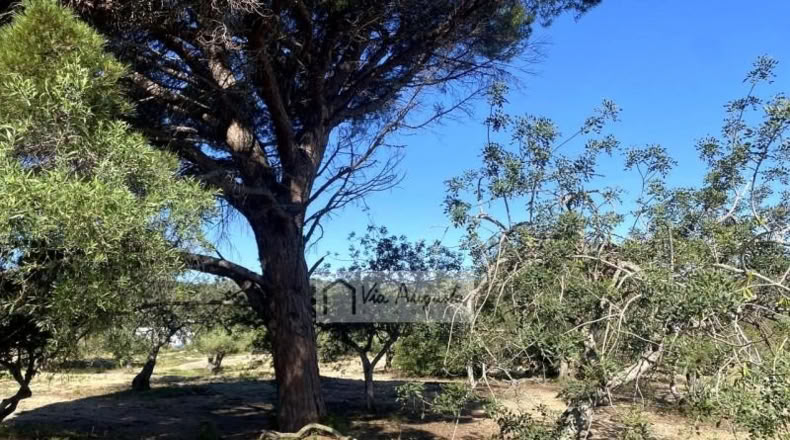Tarragona - el Perelló - 18167m2