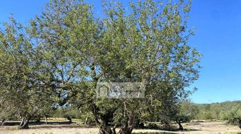 Tarragona - el Perelló - 18167m2