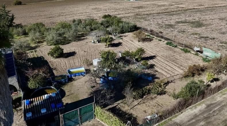 Sevilla - Las Cabezas de San Juan - 1500m2