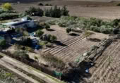 Terreny no urbanitzable en venda a la España, Las Cabezas de San Juan, ref.: TR126439 foto