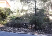 Urban land for sale on España, Cunit, ref: TR124822 photo