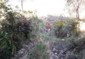 Urban land for sale on España, Cunit, ref: TR124822 photo