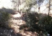 Urban land for sale on España, Cunit, ref: TR124822 photo