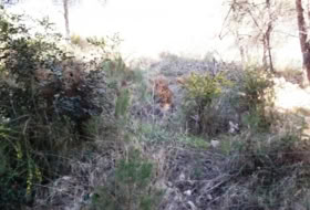 Foto 9