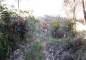 Urban land for sale on España, Cunit, ref: TR124822 photo