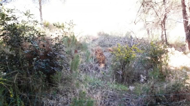 Tarragona - Cunit - 947m2
