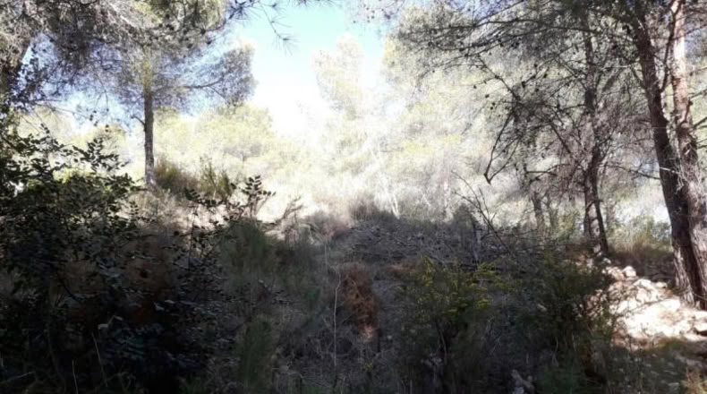 Tarragona - Cunit - 947m2
