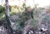 Urban land for sale on España, Cunit, ref: TR124822 photo