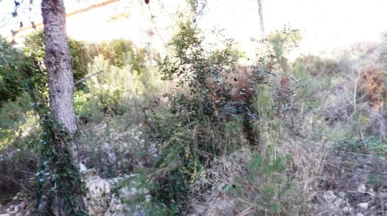 Tarragona - Cunit - 947m2