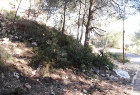 Foto 13