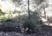 Urban land for sale on España, Cunit, ref: TR124822 photo